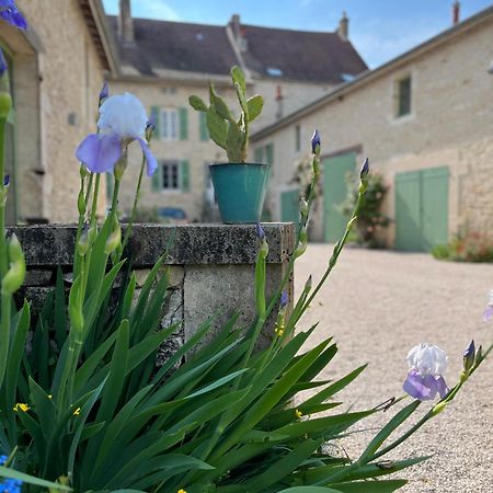 Maison Tassigny Meursault Eksteriør bilde