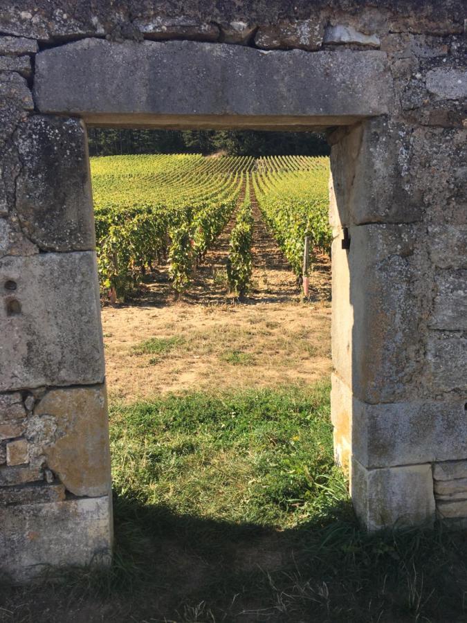 Maison Tassigny Meursault Eksteriør bilde