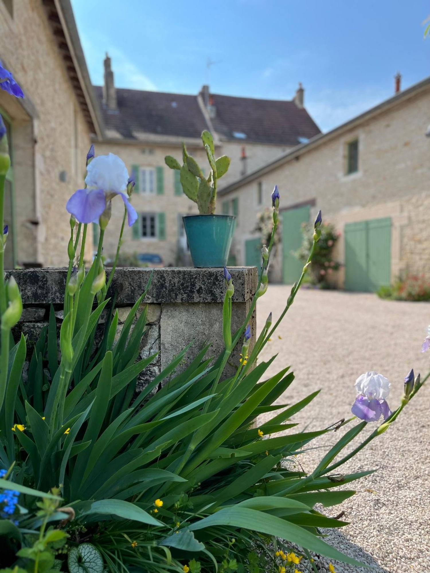 Maison Tassigny Meursault Eksteriør bilde